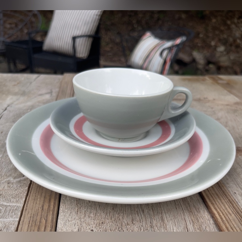 Shenango 50’s Retro MCM Gray & Pink Dinner Plate Tea Cup & Saucer Set
